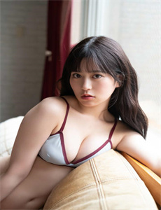 《狼堡：希特勒大本营》
